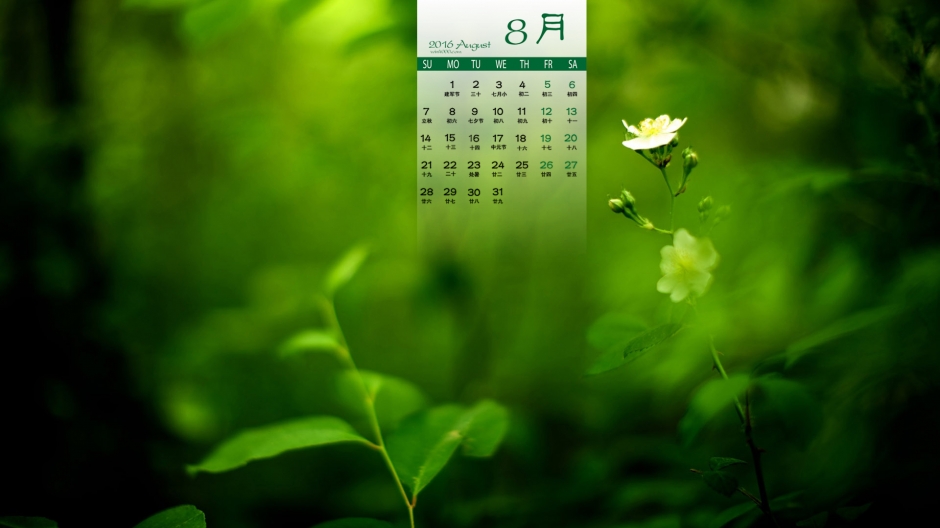 16年8月日历精选漂亮的绿色背景电脑锁屏壁纸 26abc图片大全