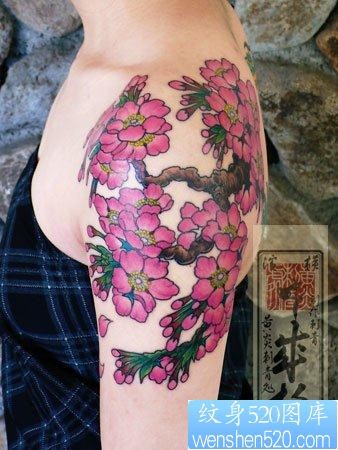 一张日本美女肩部彩色樱花纹身图案