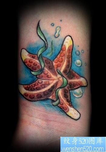可爱纹身图片：可爱海星纹身图片图案