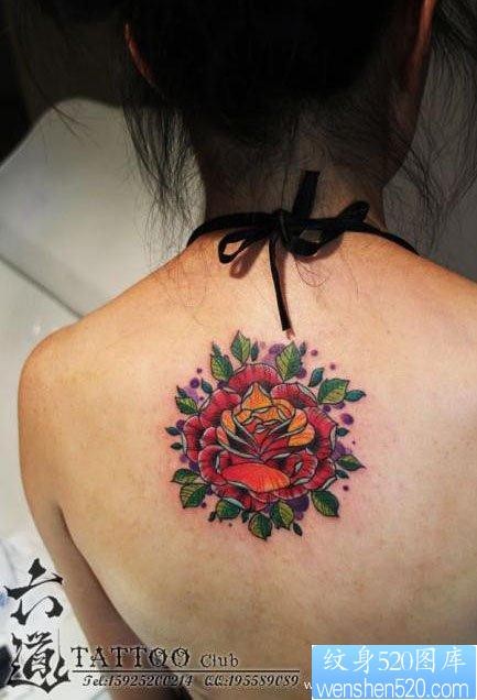 美女背部漂亮的欧美风格玫瑰花纹身图片