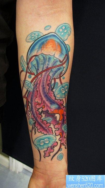 手臂流行精美的彩色水母纹身图片