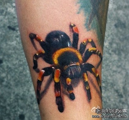 腿部前卫帅气的彩色蜘蛛纹身图片