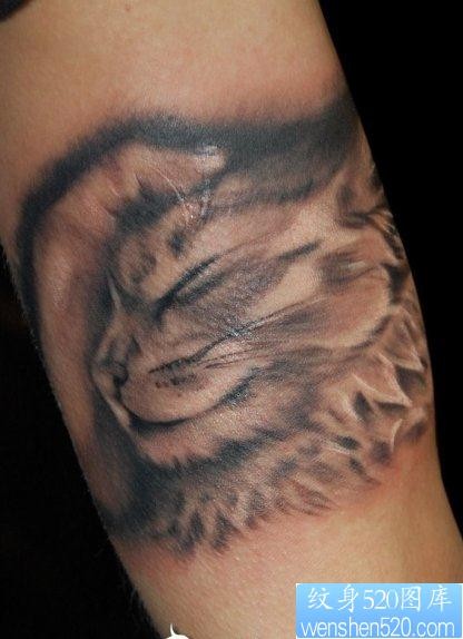 为大家推荐一张猫咪纹身图片