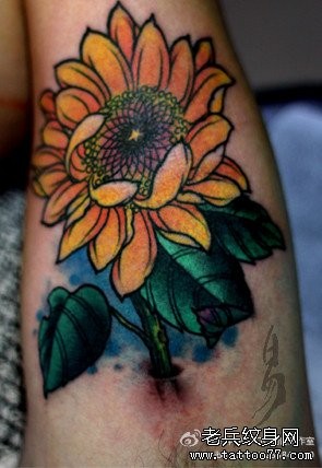 手臂流行经典的向日葵花纹身图片