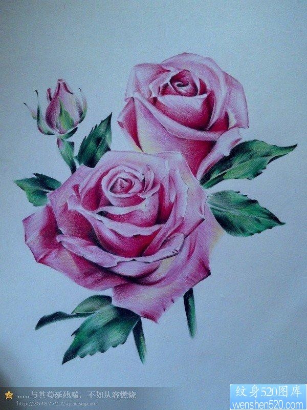 一款非常漂亮的一张玫瑰花纹身手稿