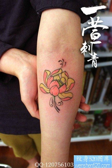 女人手臂唯美漂亮的彩色莲花纹身图片