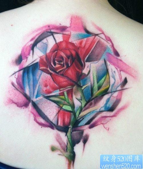女人后背流行精美的彩色玫瑰花纹身图片