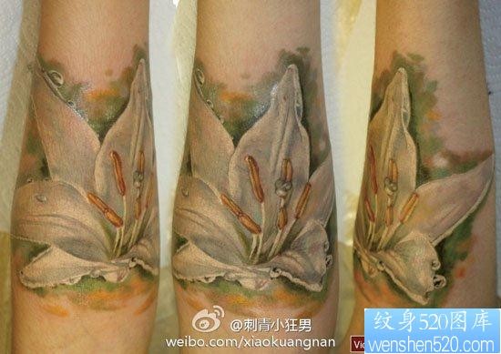 手臂漂亮精美的一张欧美彩色百合花纹身图片