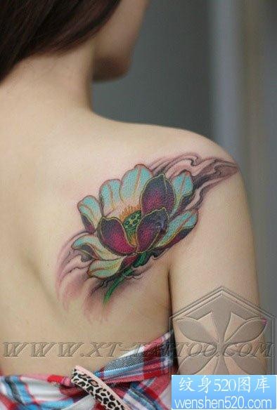 女人后肩背唯美好看的传统彩色莲花纹身图片