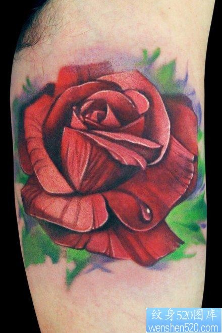 手臂内侧一张漂亮精美的彩色玫瑰花纹身图片
