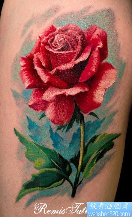 手臂精美的彩色写实的玫瑰花纹身图片