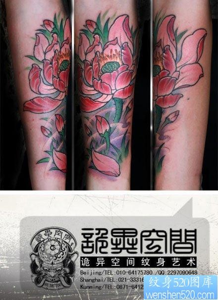 女人手臂漂亮前卫的彩色传统莲花纹身图片