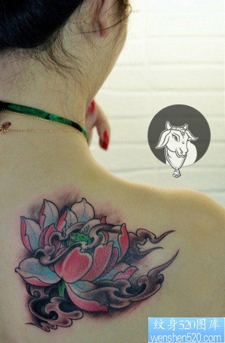 美女肩膀前卫漂亮的莲花纹身图片