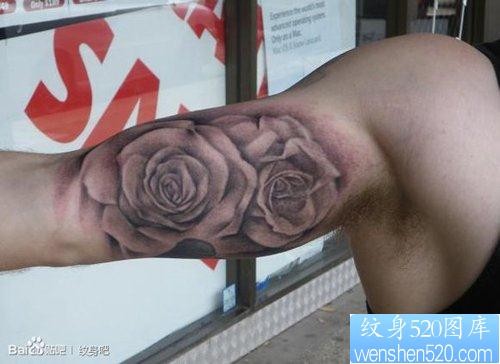 手臂流行唯美的黑灰玫瑰花纹身图片