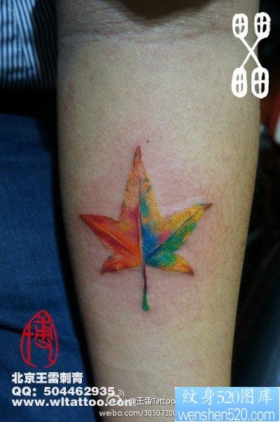 手臂漂亮的彩色枫叶纹身图片
