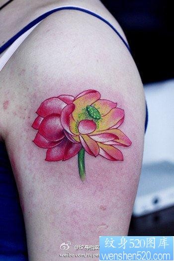 手臂流行唯美的彩色莲花纹身图片