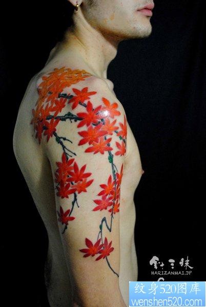 一张好看流行的手臂枫叶纹身图片