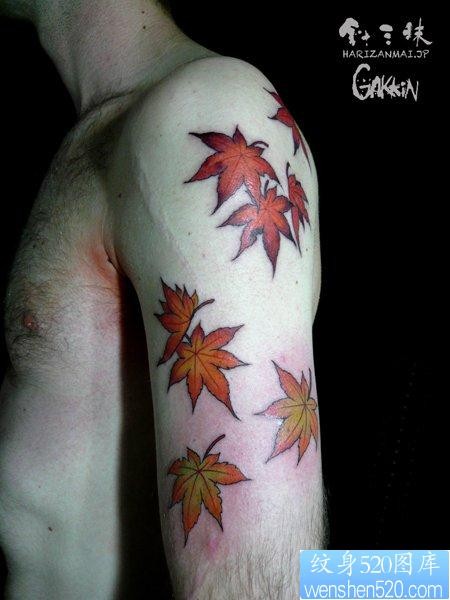 男生手臂唯美流行的枫叶纹身图片