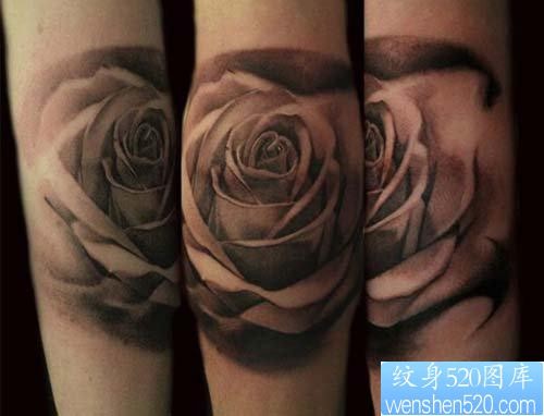 手臂漂亮精美的黑灰玫瑰花纹身图片