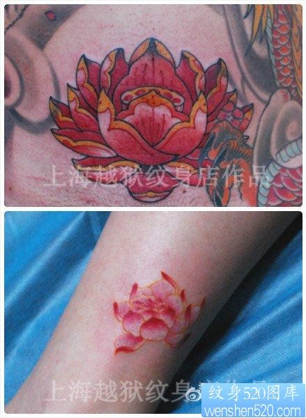 一组漂亮的彩色莲花纹身图片
