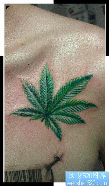 女人肩膀处流行唯美的大麻叶纹身图片