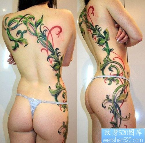 美女背部唯美好看的藤蔓纹身图片