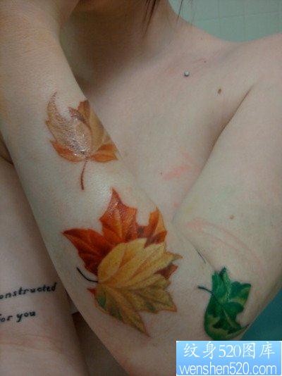 女孩子手臂漂亮的彩色枫叶纹身图片