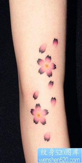 女人喜欢的手臂樱花纹身图片