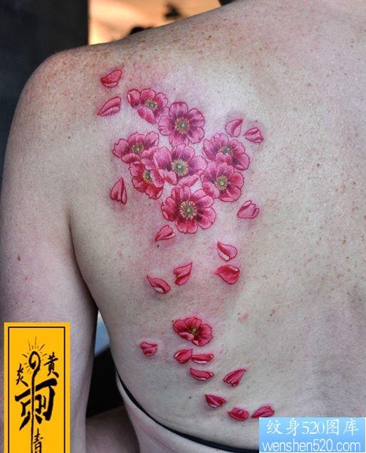 美女背部好看的彩色樱花纹身图片