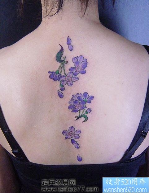 美女背部好看精美的樱花纹身图片