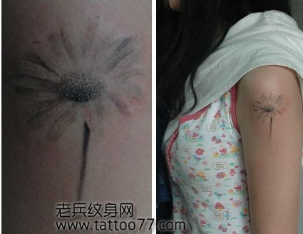 美女手臂好看的邹菊纹身图片