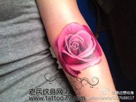 靓丽的彩色玫瑰花纹身图片