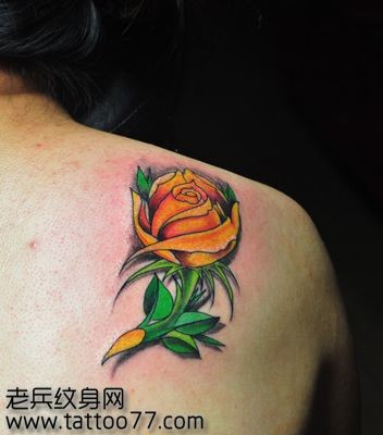 美女背部好看唯美的玫瑰花纹身图片