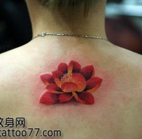 好看的颈部彩色莲花纹身图片
