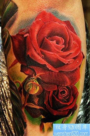 玫瑰纹身图片：3D彩色玫瑰纹身图案