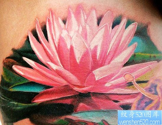 莲花纹身图片：3D彩色莲花纹身图案