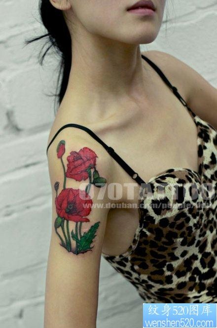 罂粟花纹身图片：手臂彩色罂粟花纹身图案