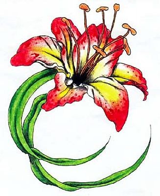 花卉纹身图片：彩色百合纹身图片图案
