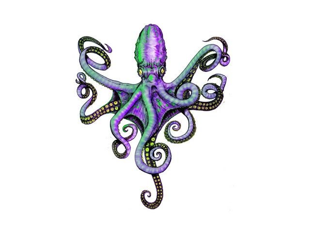 一款彩色八爪鱼章鱼纹身