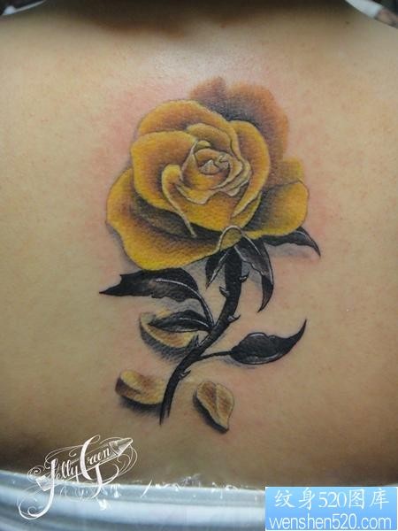 背部纹身图片：后背黄玫瑰纹身图片