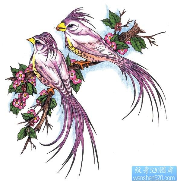 鸟类纹身图片：喜鹊樱花纹身图片图案