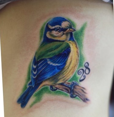 动物纹身图片：彩色小鸟喜鹊纹身图案
