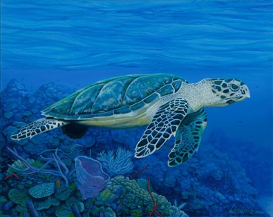 海洋里懒散游动的海龟纹身图案
