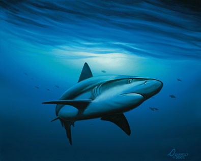 一张超大气的鲨鱼纹身图片