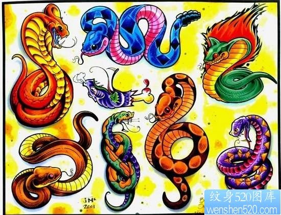 动物纹身图片：彩色蛇纹身图案