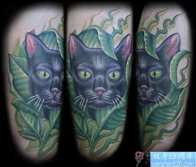 可爱黑色猫咪纹身图片图案