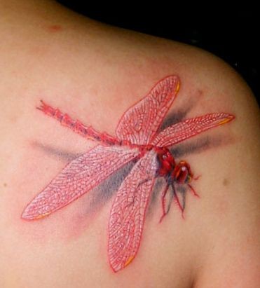 蜻蜓纹身图片：肩部彩色蜻蜓纹身图案