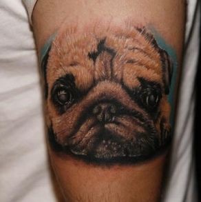 哈巴狗纹身图片：手臂可爱哈巴狗纹身图案