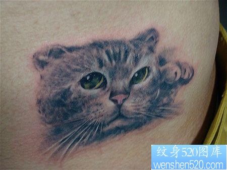 猫咪纹身图片：腰部猫咪纹身图案