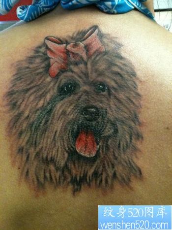 美女背部小狗纹身图片